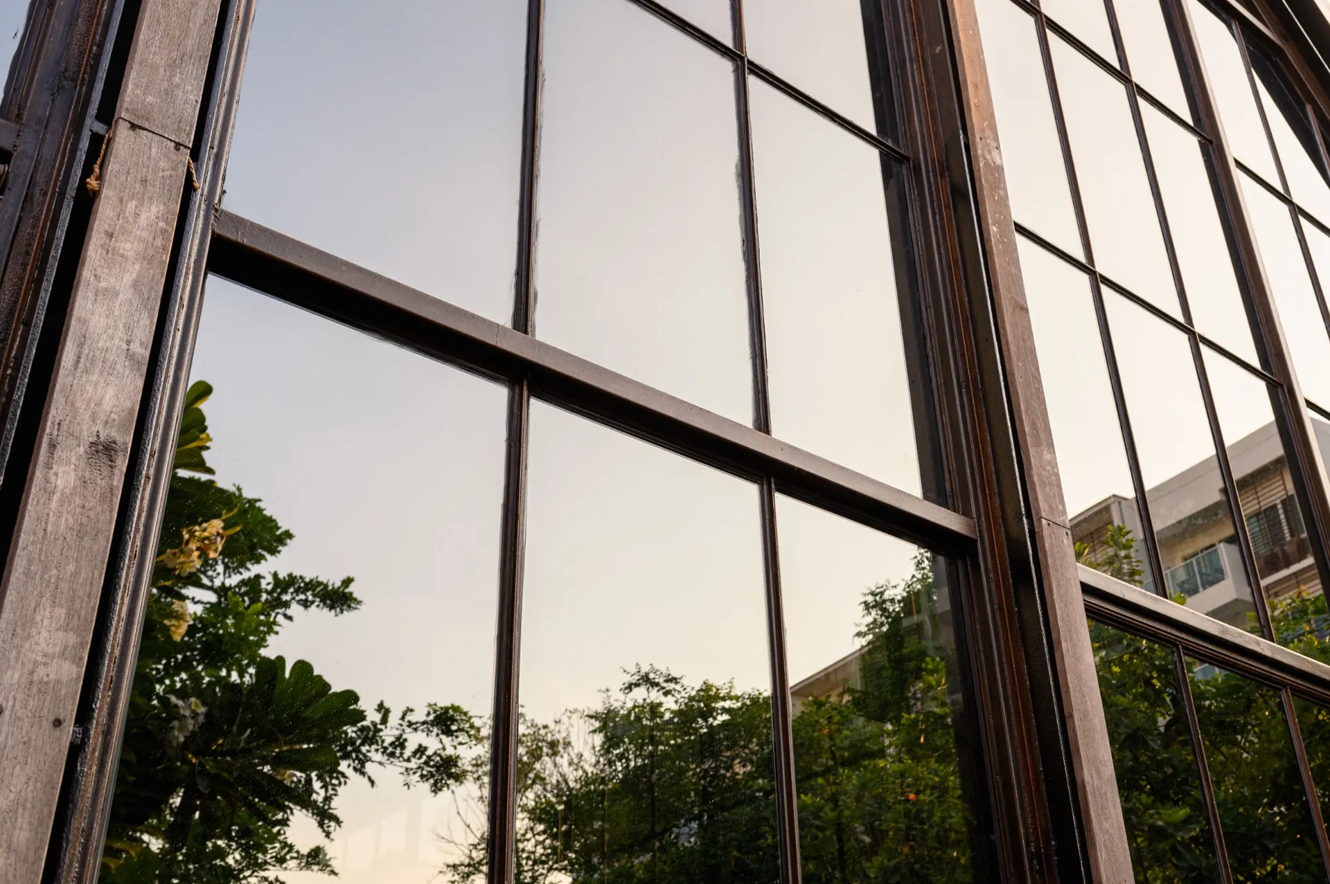 Close-up of multi-pane architectural windows reflecting trees and surrounding buildings